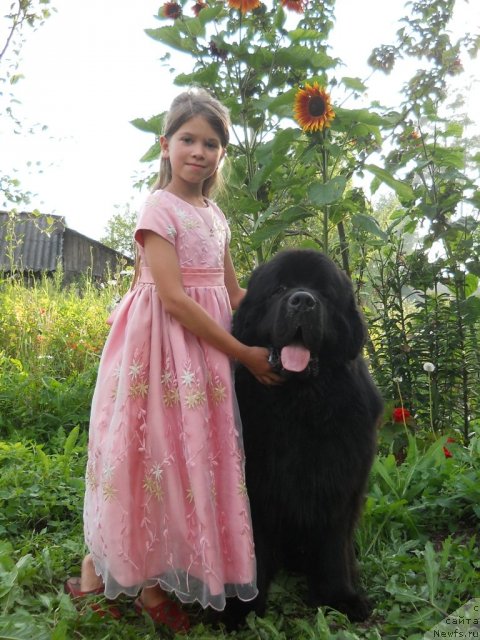 Фотография № 74441