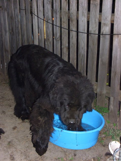 Фотография № 74472