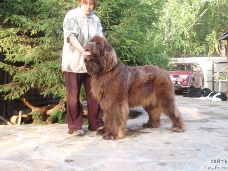 Фотография № 74474