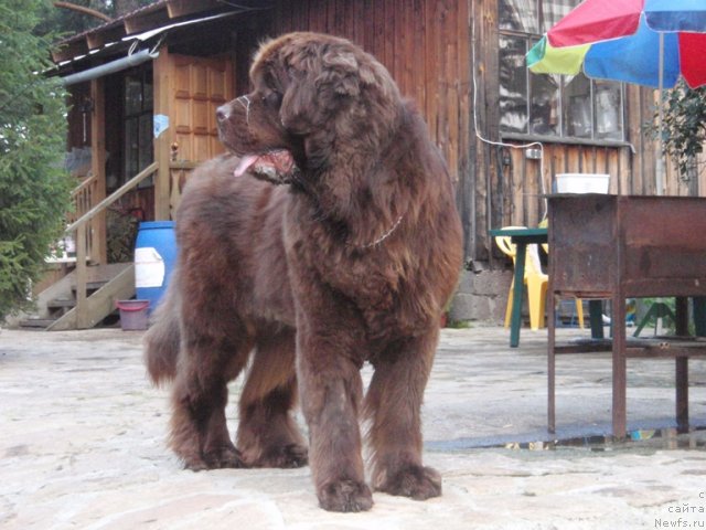 Фотография № 74477