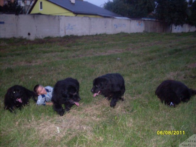 Фотография № 74478