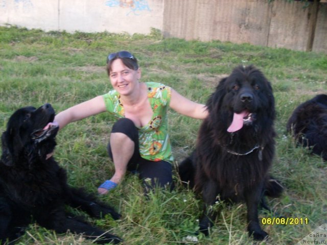 Фотография № 74480