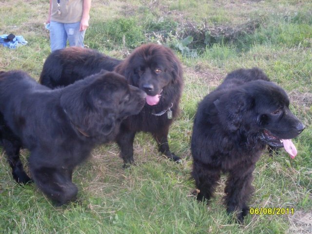 Фотография № 74481