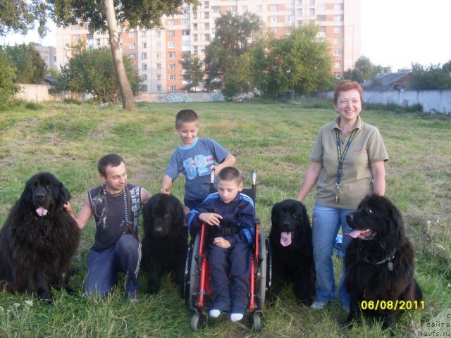 Фотография № 74482