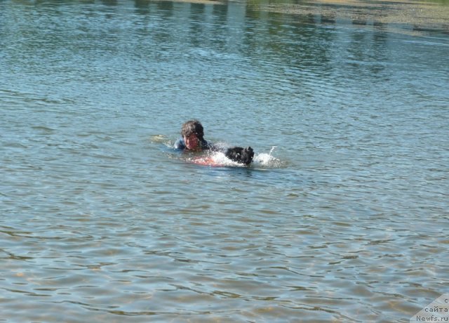 Фотография № 74520