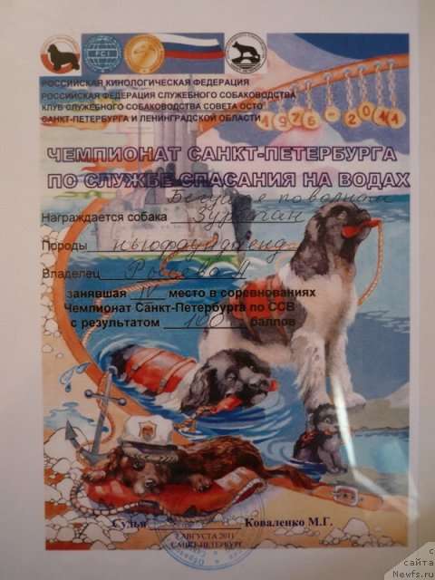 Фотография № 74529