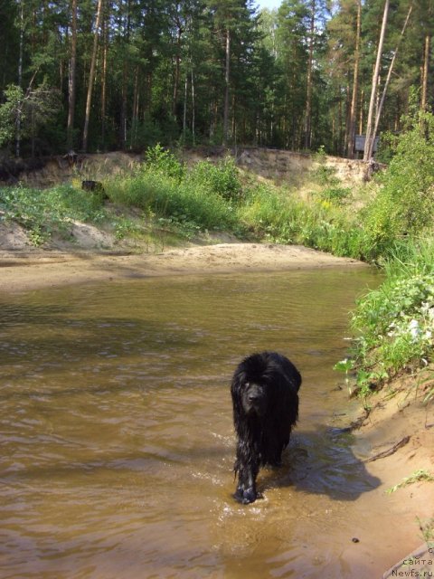 Фотография № 74551