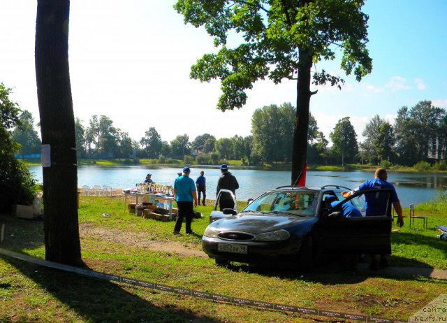 Фотография № 74566