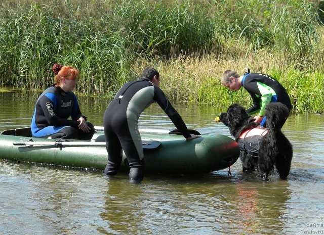 Фотография № 74582