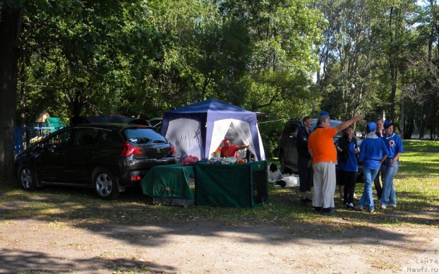 Фотография № 74587