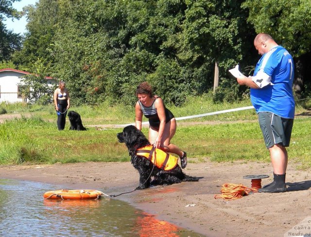 Фотография № 74589