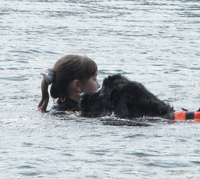 Фотография № 74598