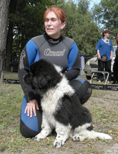 Фотография № 74599