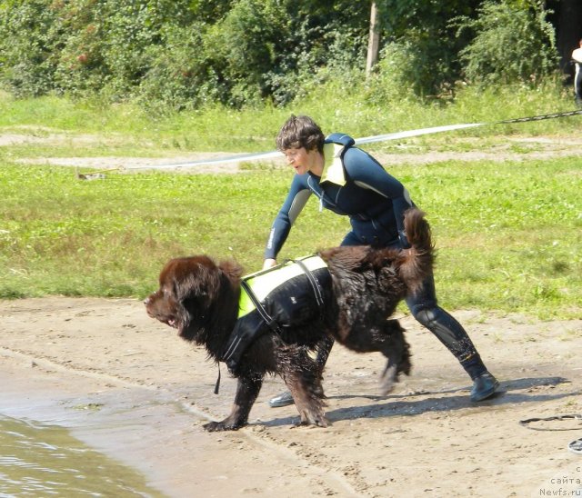 Фотография № 74605