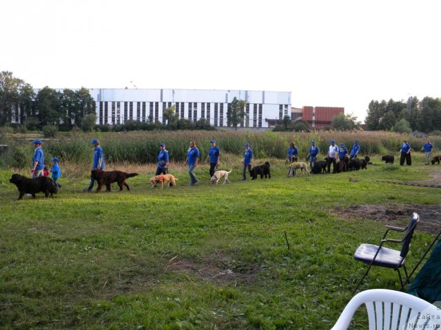 Фотография № 74632