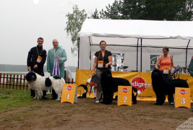 Фотография № 74636