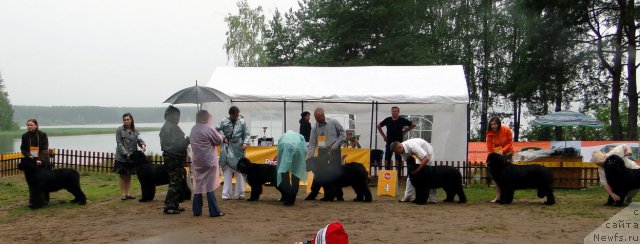 Фотография № 74637