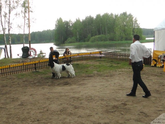 Фотография № 74644