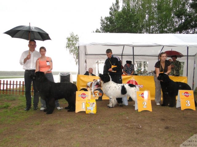 Фотография № 74645