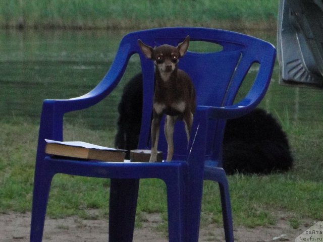 Фотография № 74652