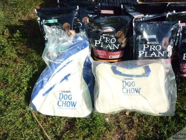 Фотография № 74661