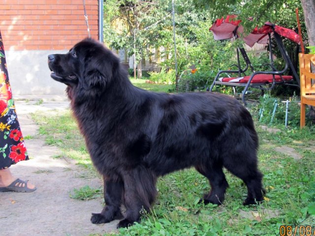 Фотография № 74677