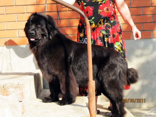 Фотография № 74680