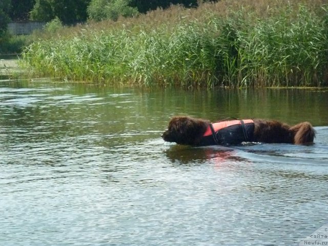 Фотография № 74760