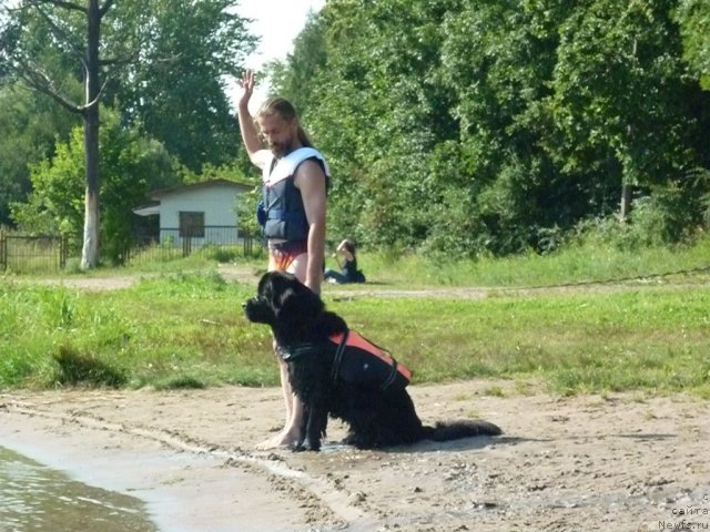 Фотография № 74784