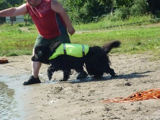 Фотография № 74790