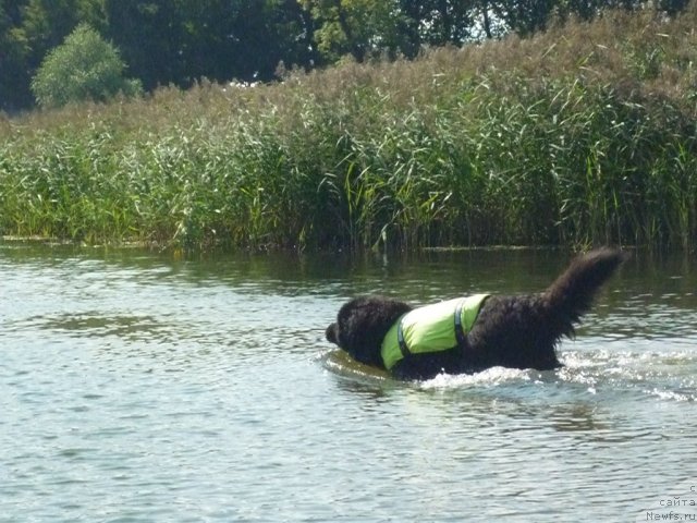 Фотография № 74793