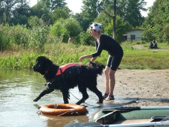 Фотография № 74804