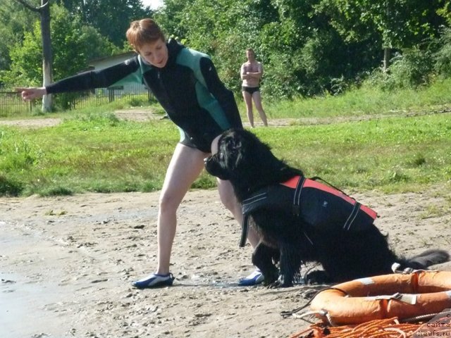 Фотография № 74809