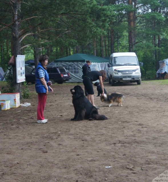 Фотография № 74829