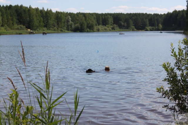 Фотография № 74836