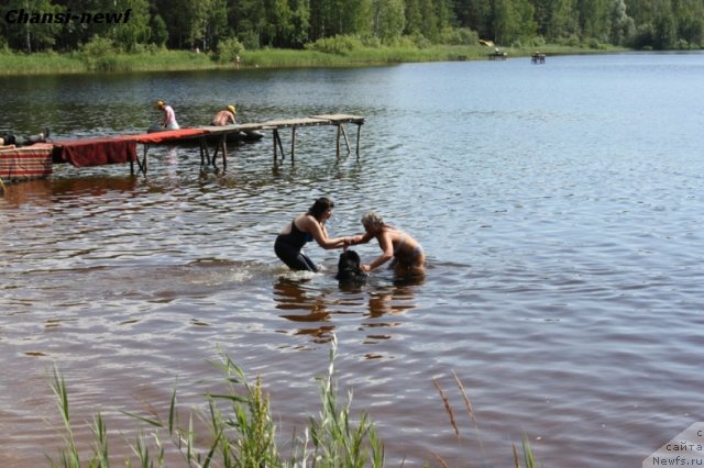 Фотография № 74837