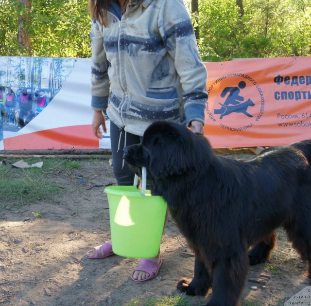 Фотография № 74850