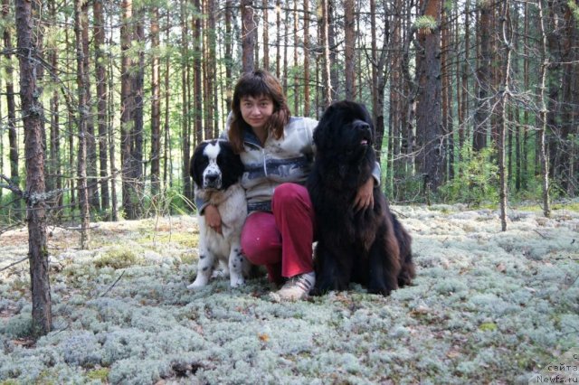 Фотография № 74854