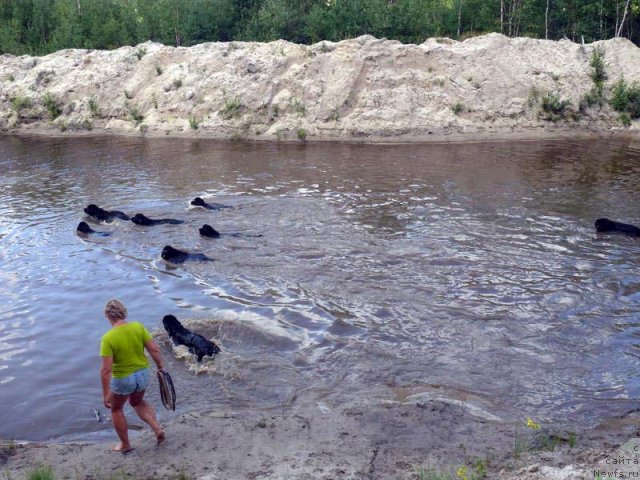 Фотография № 74857