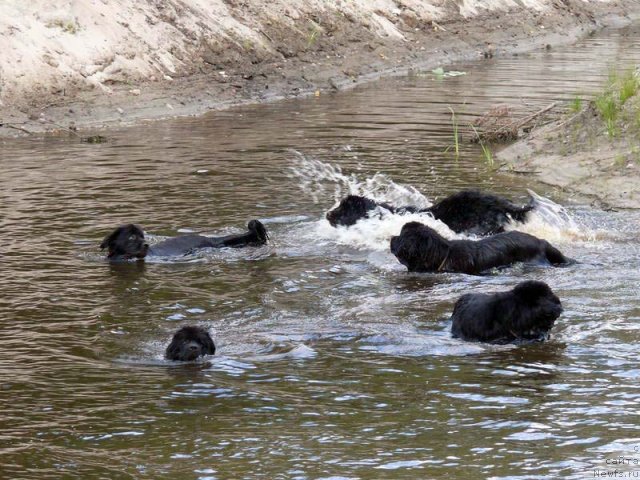 Фотография № 74858