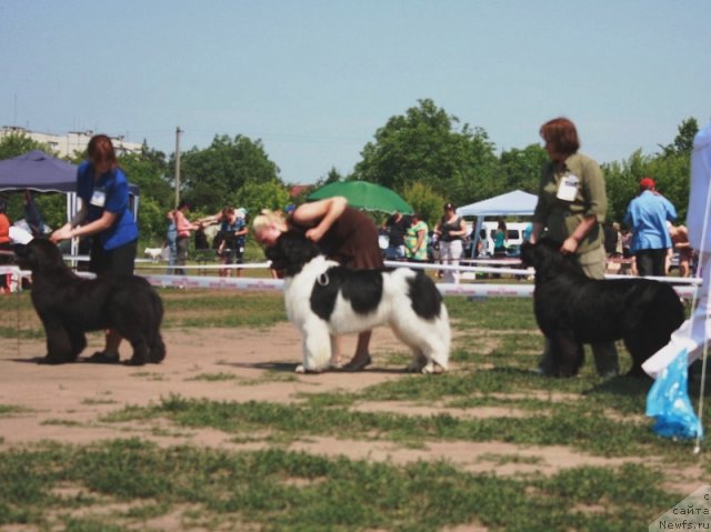 Фотография № 74879