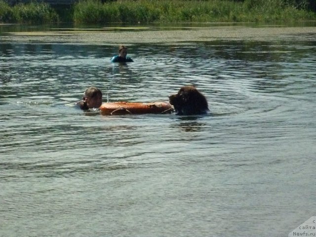 Фотография № 74882