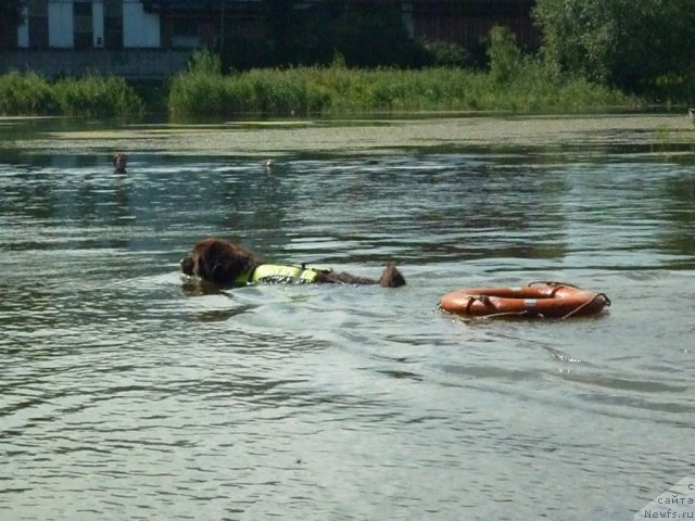 Фотография № 74883