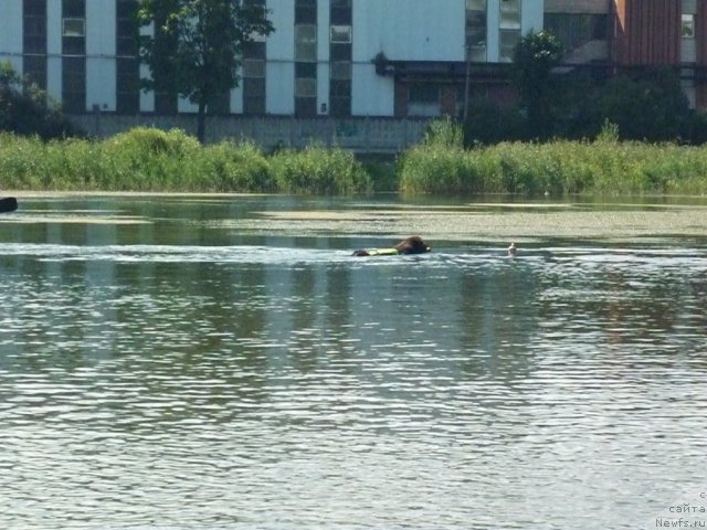 Фотография № 74884