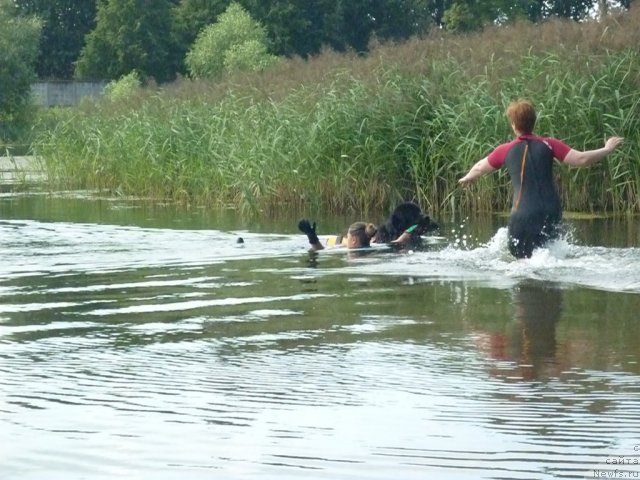 Фотография № 74889