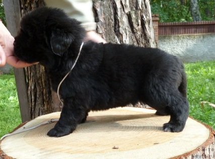 Фотография № 74916