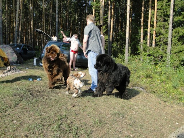 Фотография № 74988