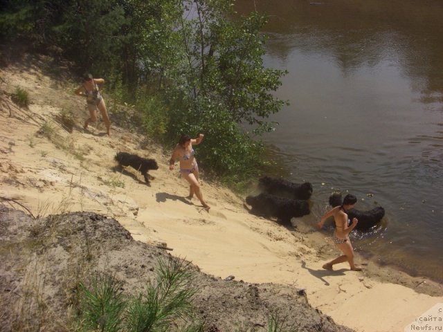 Фотография № 75007