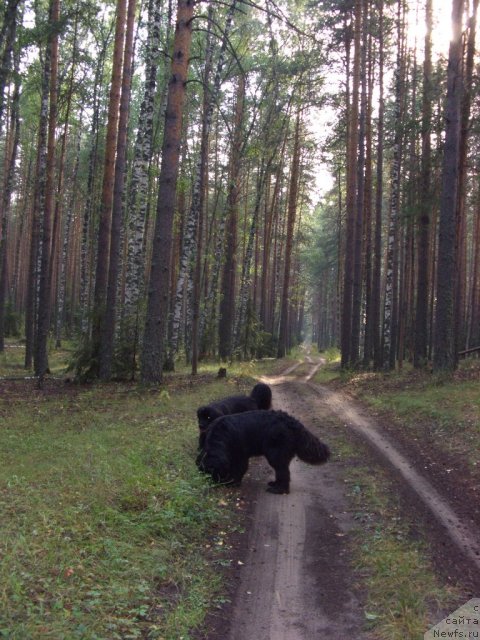 Фотография № 75029