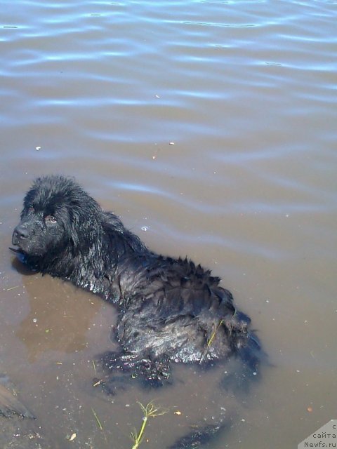Фото: Lyubov' Gubenko (Любовь Губенко)